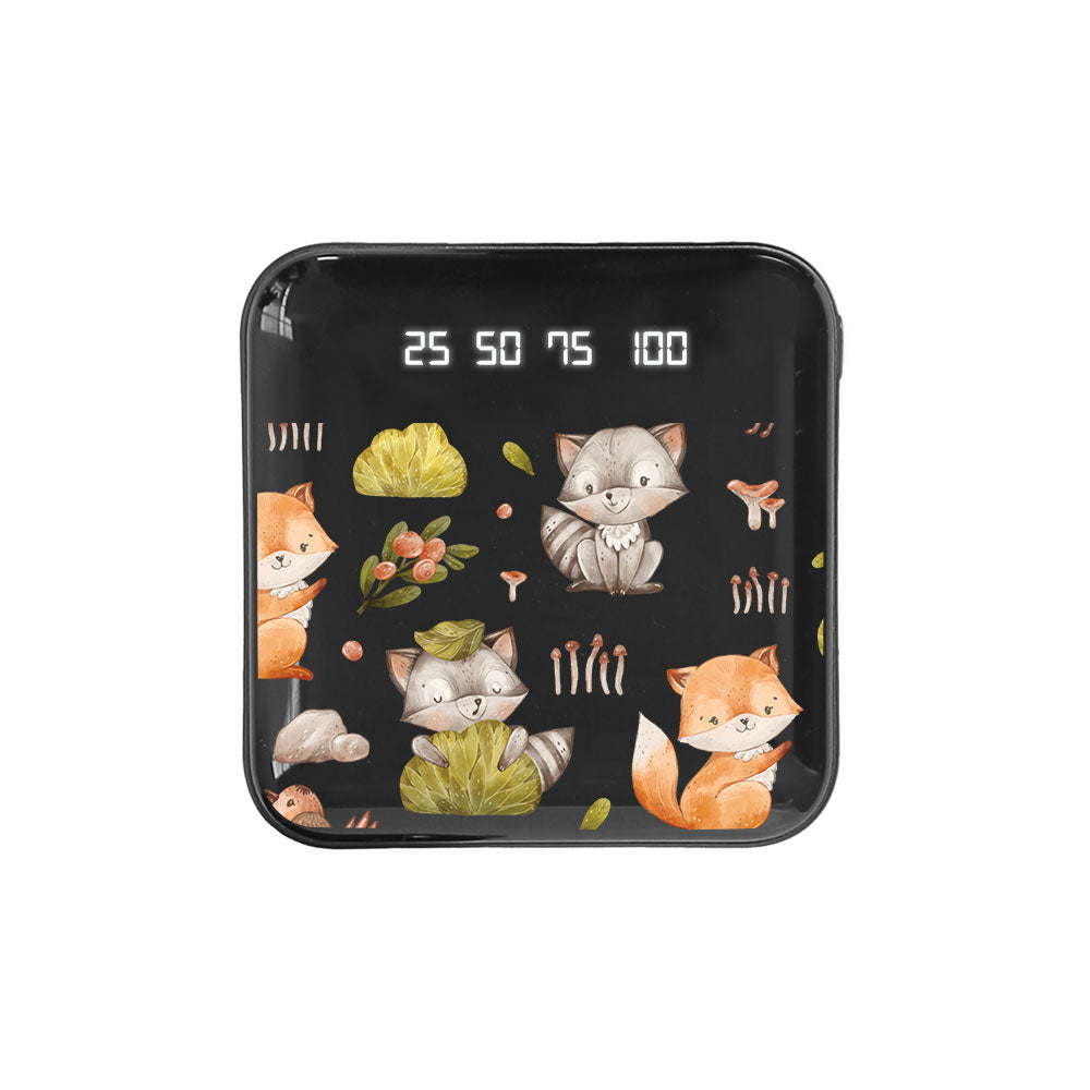 Mini Mighty Powerbank 12,000 mAh - Racoon & Friends