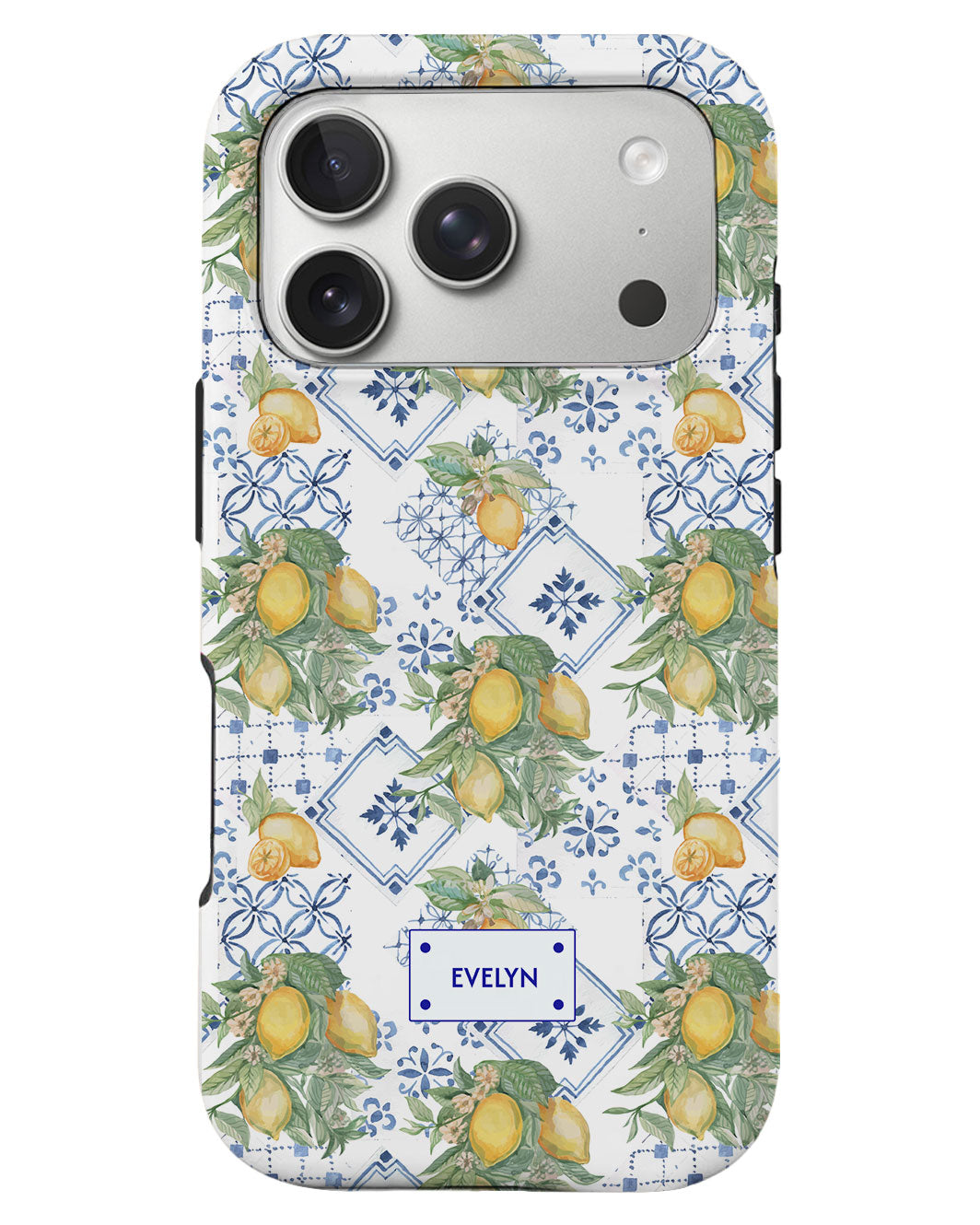 iPhone Rearguard Defender - Majolica Romana