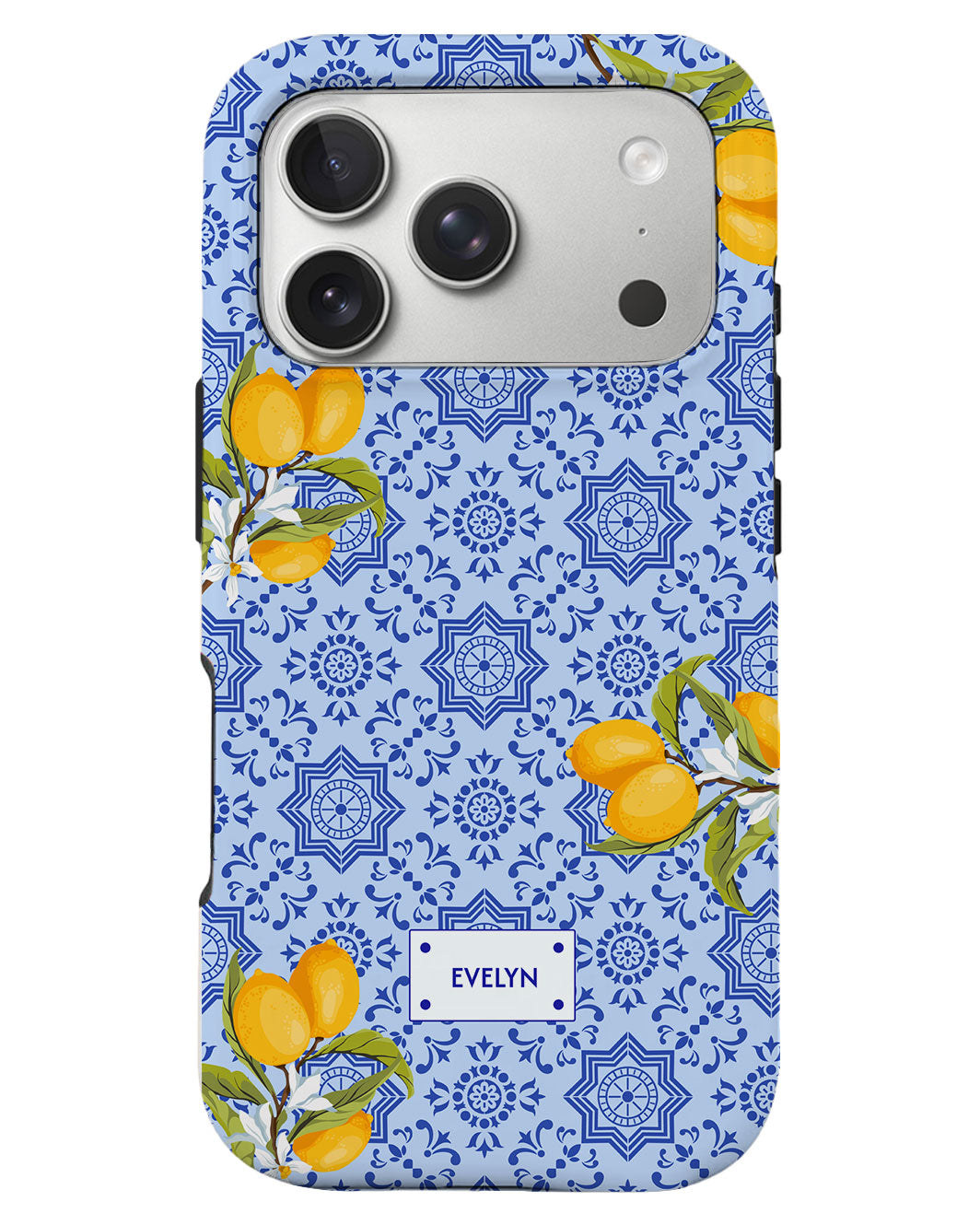 iPhone Rearguard Defender - Majolica Sicily