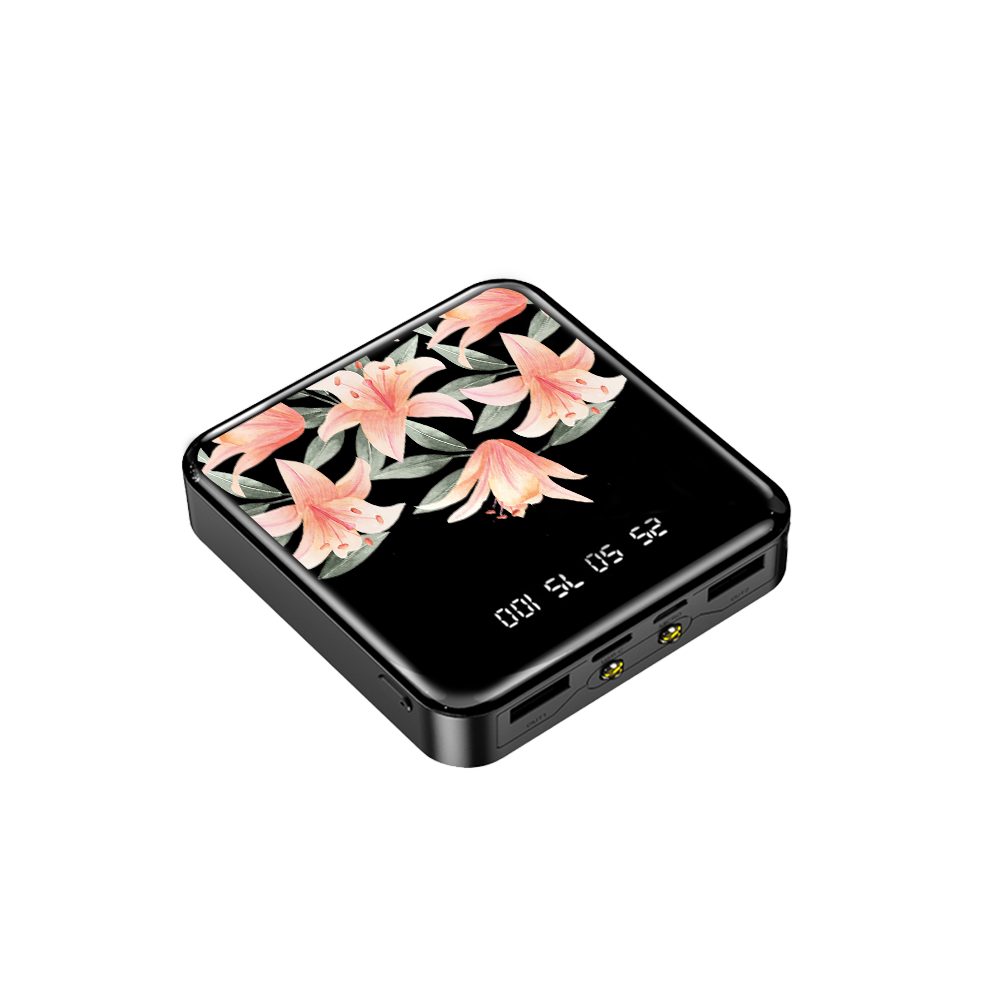 Mini Mighty Powerbank 12,000 mAh - Phoebe