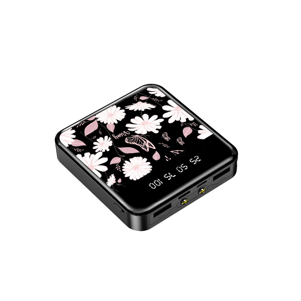 Mini Mighty Powerbank 12,000 mAh - Butterfly & Daisy