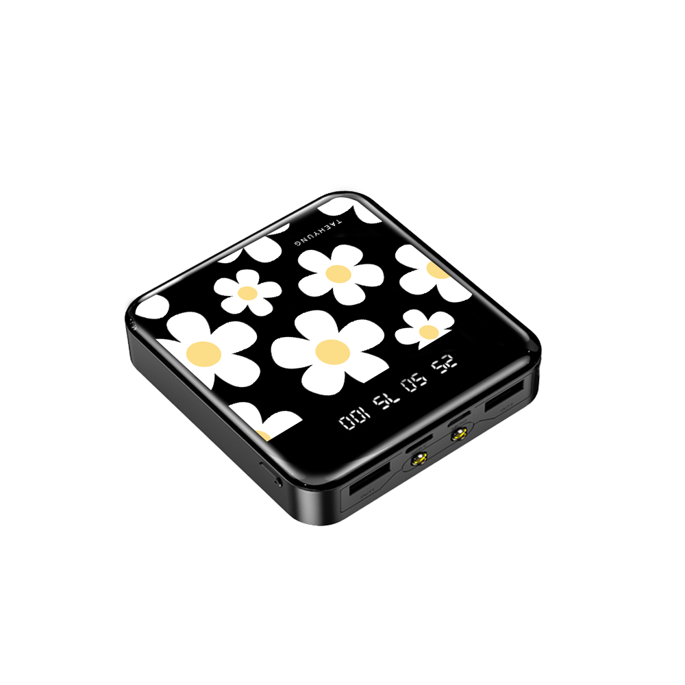 Mini Mighty Powerbank 12,000 mAh - Daisy 1.0