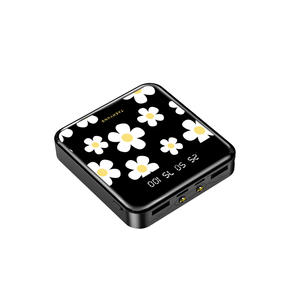 Mini Mighty Powerbank 12,000 mAh - Daisy 2.0