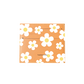 6 Slots Card Holder - Daisy 2.0