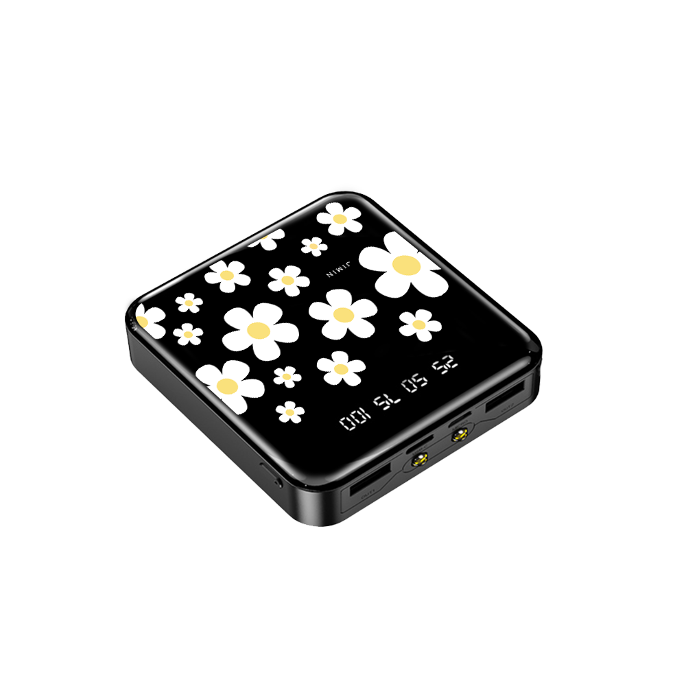 Mini Mighty Powerbank 12,000 mAh - Daisy 3.0