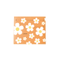 6 Slots Card Holder - Daisy 3.0