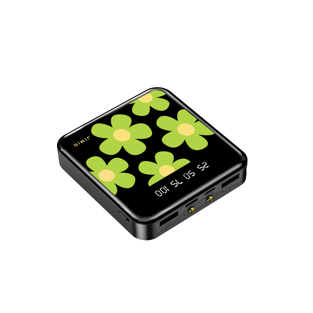 Mini Mighty Powerbank 12,000 mAh - Daisy Bloom