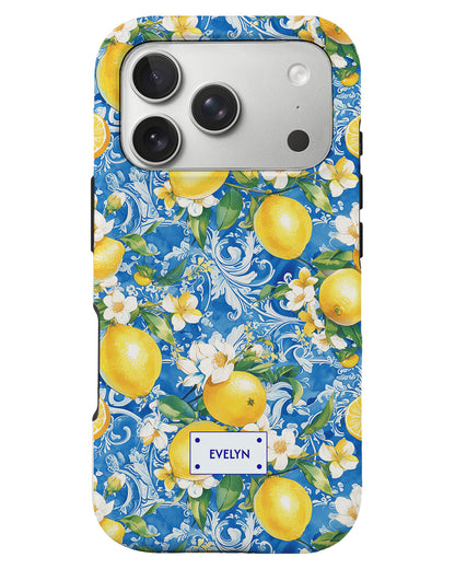 iPhone Rearguard Defender - Majolica Naples