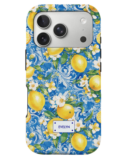 iPhone Rearguard Defender - Majolica Naples