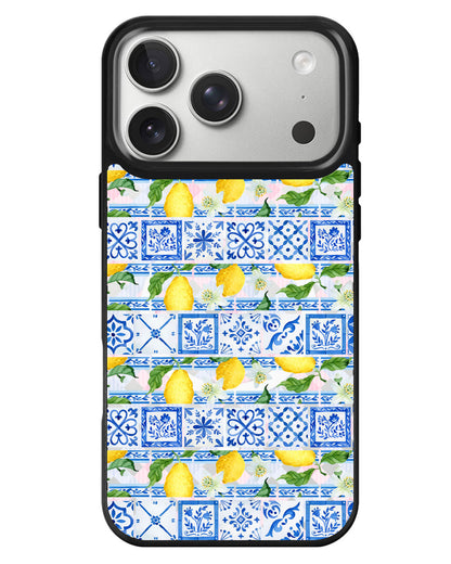 iPhone Rearguard MagSwap - Majolica Firenze