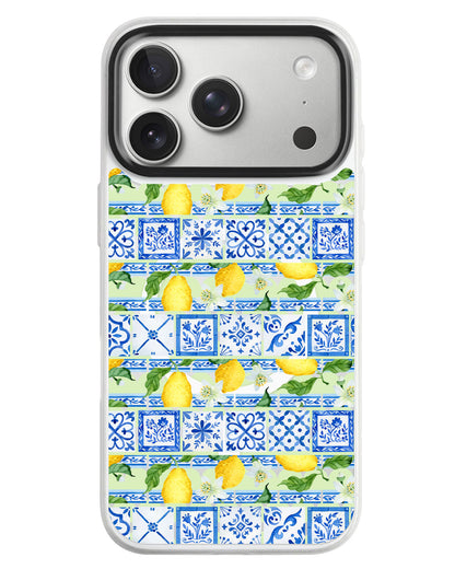 iPhone Rearguard MagSwap - Majolica Firenze