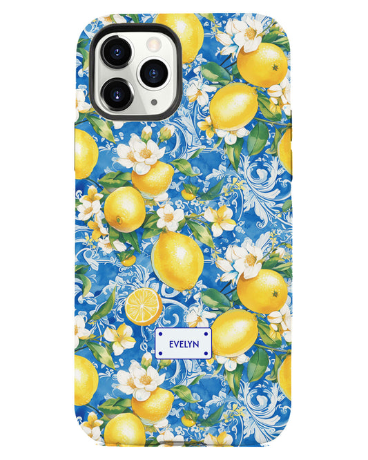 iPhone Rearguard Defender - Majolica Naples