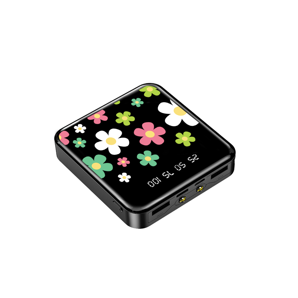 Mini Mighty Powerbank 12,000 mAh - Daisy Wild