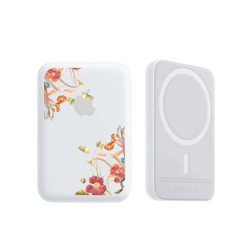 Magnetic Wireless Powerbank - Caroline